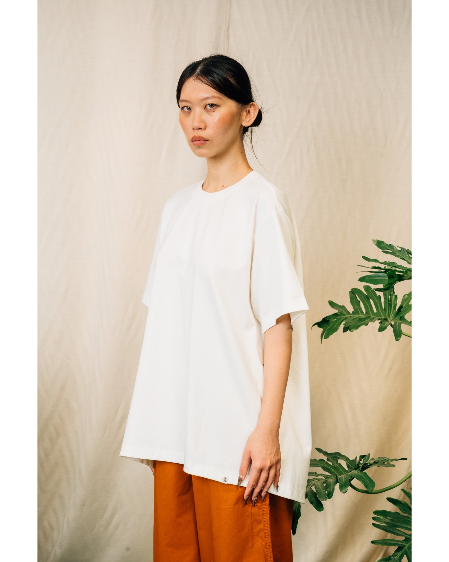 Pine Basic Top in White