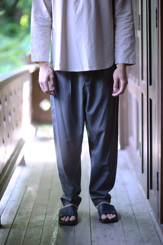Aqil Pants In Grey